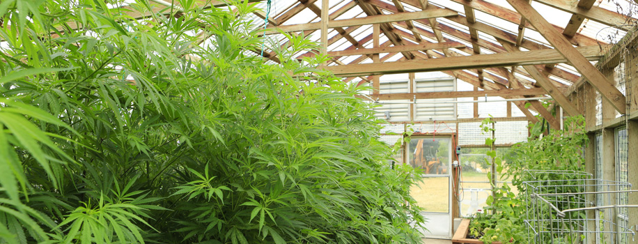 Security Solutions for Apartments in Edgar Springs, MO